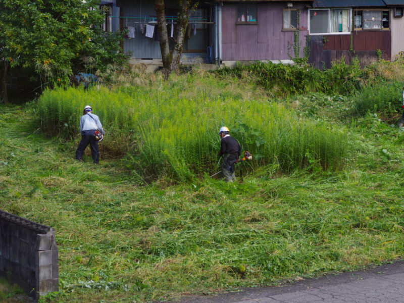 休耕田の雑草の草刈りをする男性たち